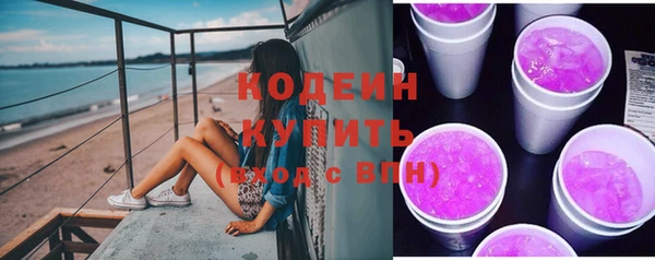 дживик Бородино