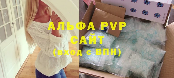 дживик Бородино