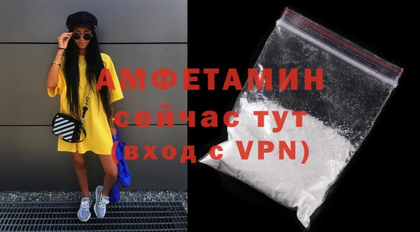 дживик Бородино