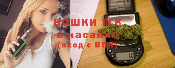 дживик Бородино