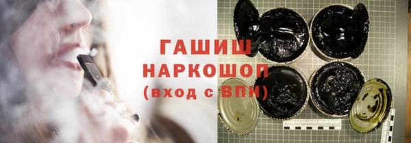 дживик Бородино