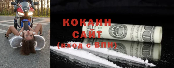 дживик Бородино