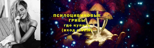 молекула духа Бугульма