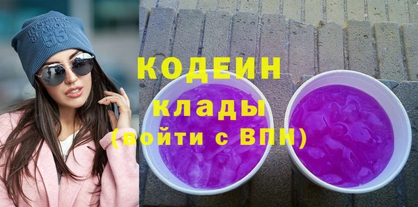 дживик Бородино