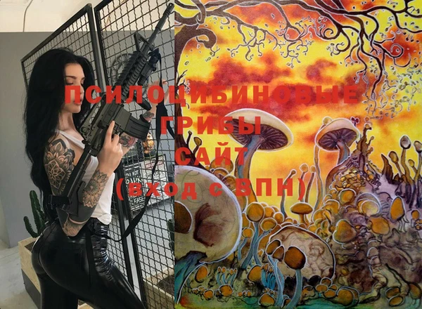 молекула духа Бугульма