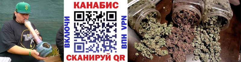 Купить закладки  Полевской  Шишки марихуана сатива 